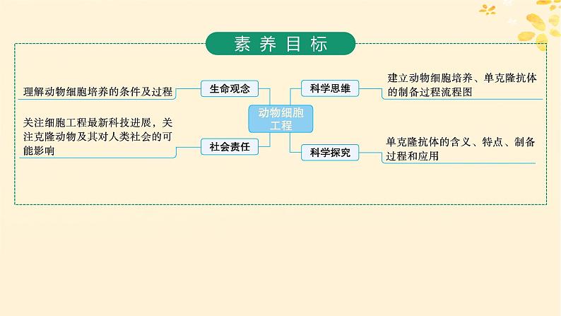 备战2025届新高考生物一轮总复习第10单元生物技术与工程第50讲动物细胞工程课件02