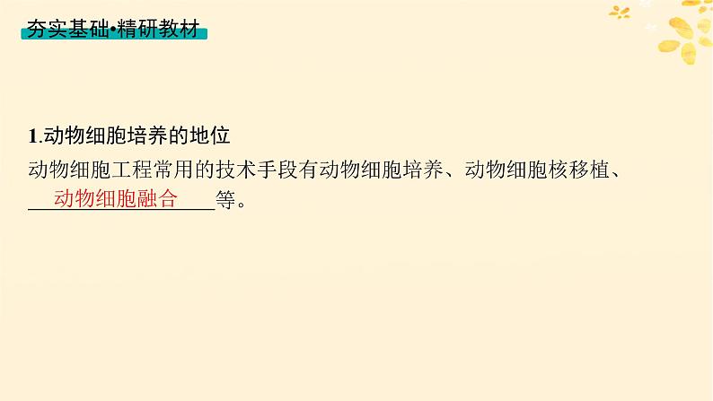 备战2025届新高考生物一轮总复习第10单元生物技术与工程第50讲动物细胞工程课件04