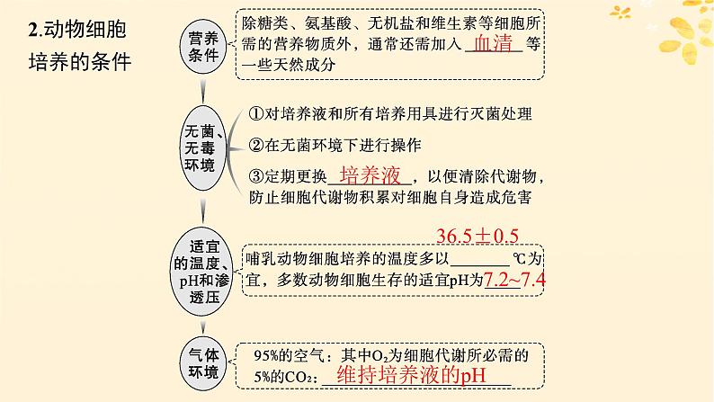 备战2025届新高考生物一轮总复习第10单元生物技术与工程第50讲动物细胞工程课件05