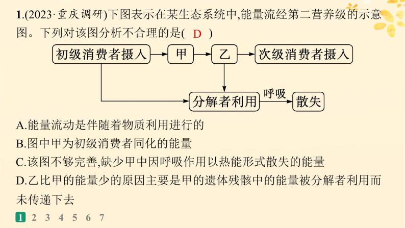 备战2025届新高考生物一轮总复习第9单元生物与环境课时规范练44生态系统的能量流动课件03