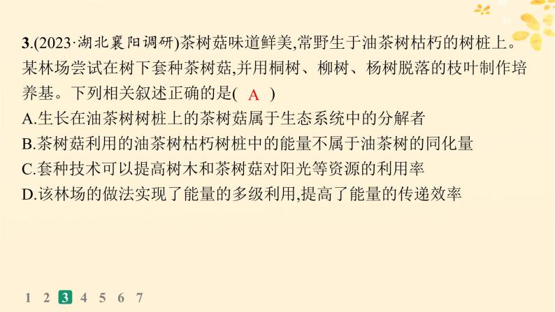 备战2025届新高考生物一轮总复习第9单元生物与环境课时规范练44生态系统的能量流动课件07