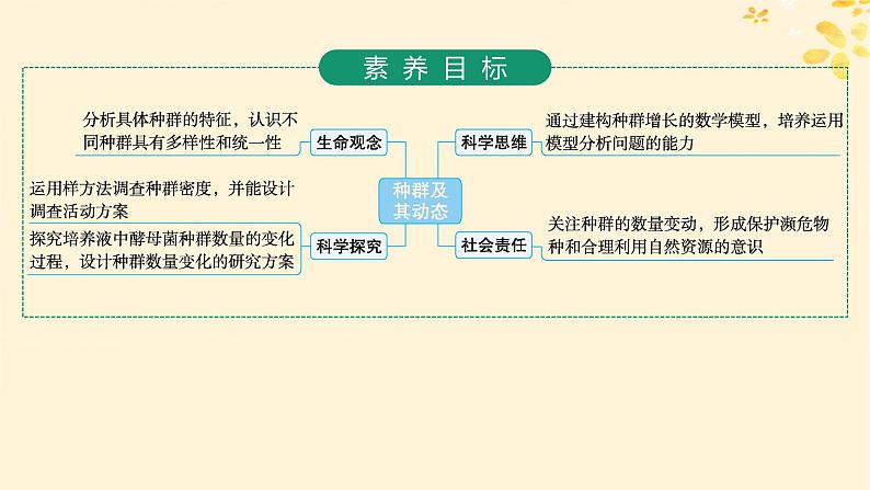 备战2025届新高考生物一轮总复习第9单元生物与环境第41讲种群及其动态课件02