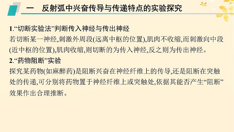 备战2025届新高考生物一轮总复习第8单元稳态与调节专题精研课11兴奋传导及相关实验探究课件第2页