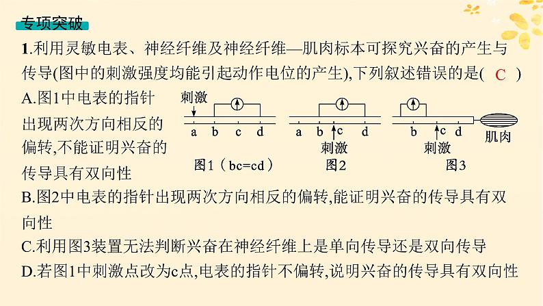 备战2025届新高考生物一轮总复习第8单元稳态与调节专题精研课11兴奋传导及相关实验探究课件第5页