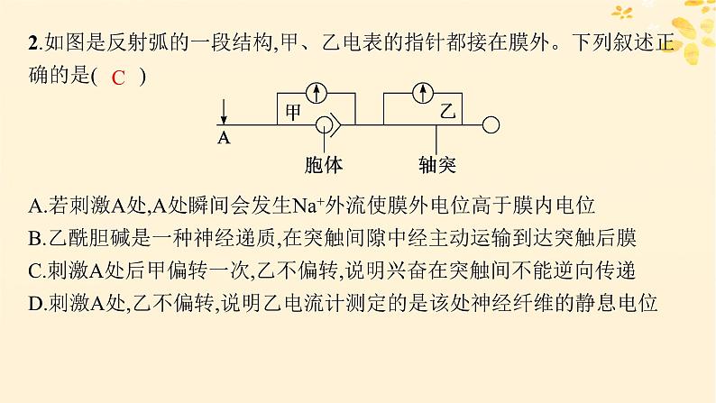备战2025届新高考生物一轮总复习第8单元稳态与调节专题精研课11兴奋传导及相关实验探究课件第7页