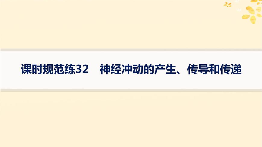 備戰(zhàn)2025屆新高考生物一輪總復(fù)習(xí)第8單元穩(wěn)態(tài)與調(diào)節(jié)課時規(guī)范練32神經(jīng)沖動的產(chǎn)生傳導(dǎo)和傳遞課件第1頁