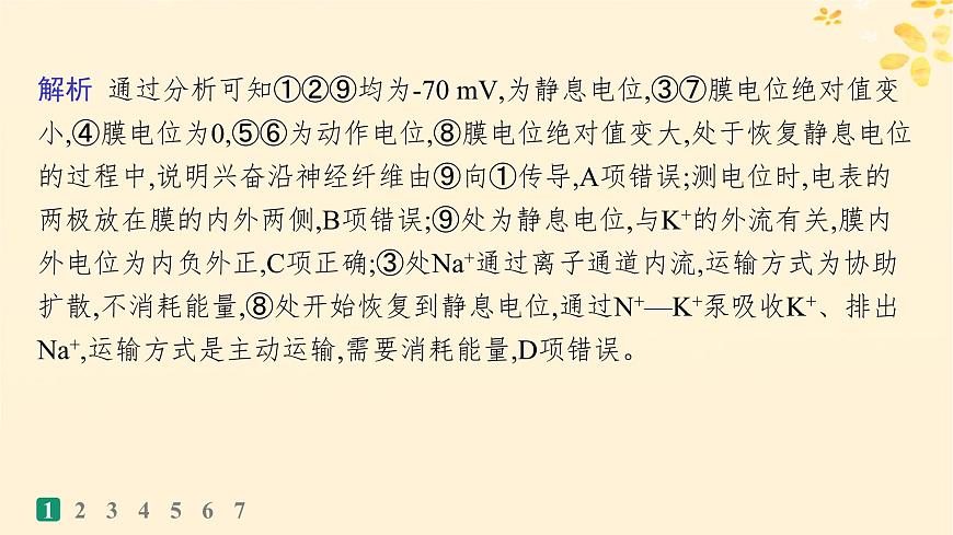 備戰(zhàn)2025屆新高考生物一輪總復(fù)習(xí)第8單元穩(wěn)態(tài)與調(diào)節(jié)課時規(guī)范練32神經(jīng)沖動的產(chǎn)生傳導(dǎo)和傳遞課件第4頁