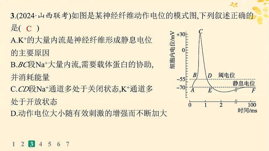 備戰(zhàn)2025屆新高考生物一輪總復(fù)習(xí)第8單元穩(wěn)態(tài)與調(diào)節(jié)課時規(guī)范練32神經(jīng)沖動的產(chǎn)生傳導(dǎo)和傳遞課件第7頁