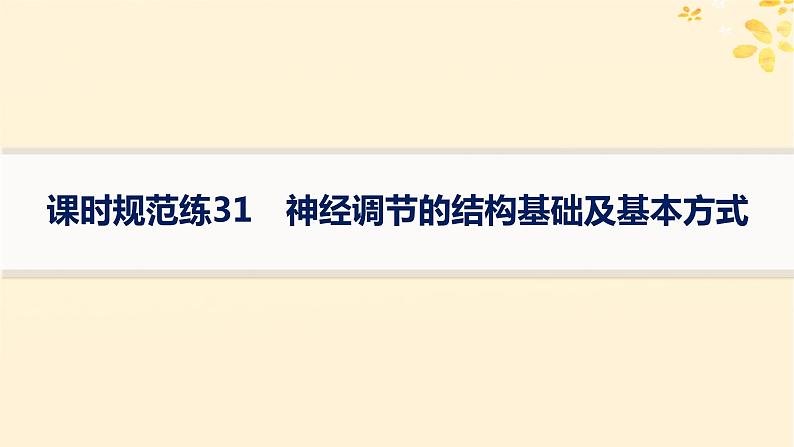 备战2025届新高考生物一轮总复习第8单元稳态与调节课时规范练31神经调节的结构基础及基本方式课件第1页