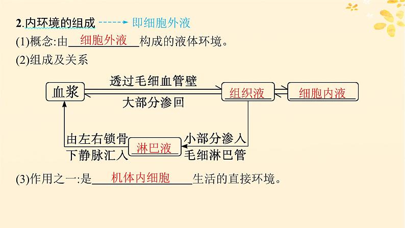 备战2025届新高考生物一轮总复习第8单元稳态与调节第30讲人体的内环境与稳态课件第5页