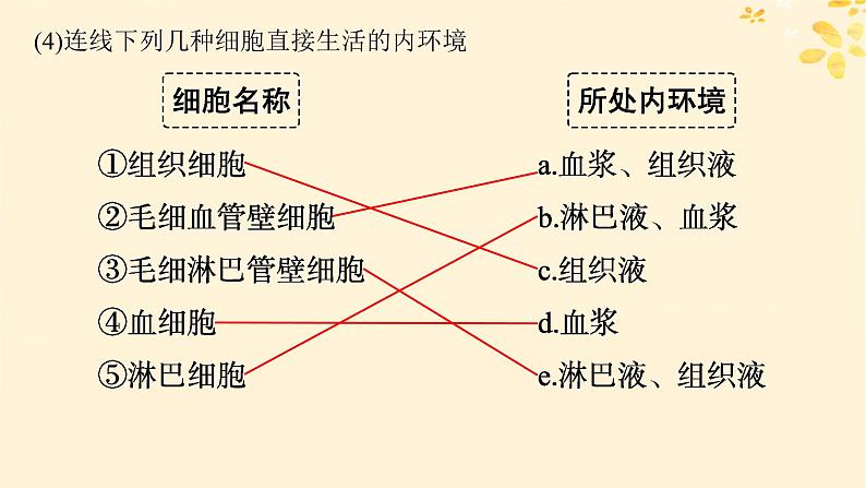 备战2025届新高考生物一轮总复习第8单元稳态与调节第30讲人体的内环境与稳态课件第6页