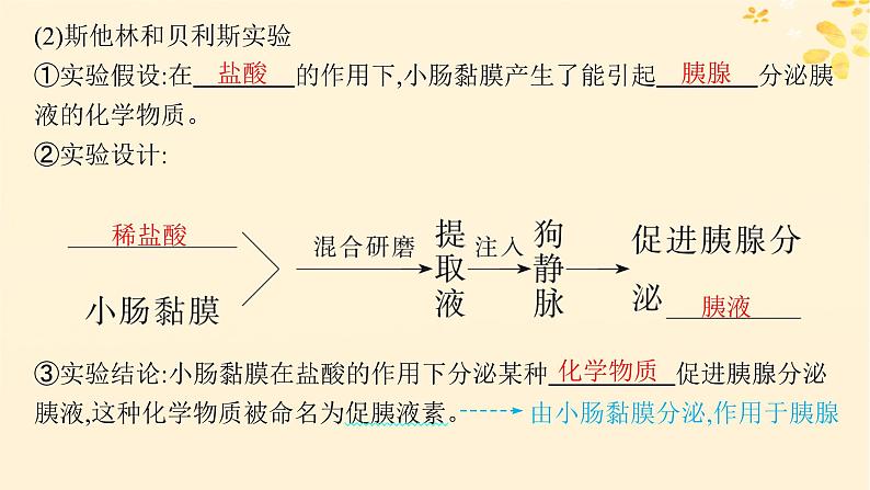 备战2025届新高考生物一轮总复习第8单元稳态与调节第34讲体液调节课件05