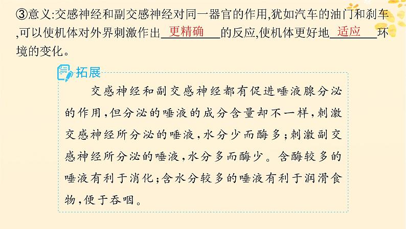 备战2025届新高考生物一轮总复习第8单元稳态与调节第31讲神经调节的结构基础及基本方式课件第7页