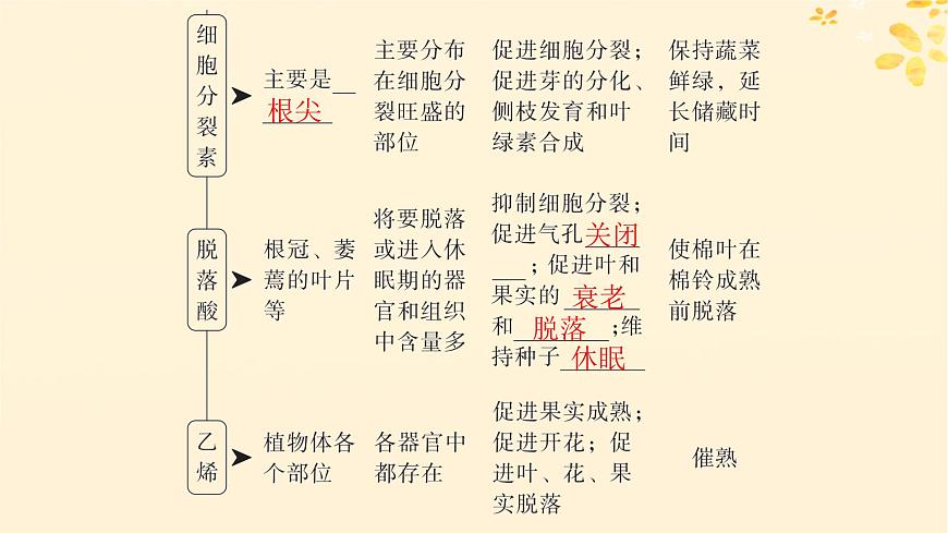 備戰(zhàn)2025屆新高考生物一輪總復習第8單元穩(wěn)態(tài)與調(diào)節(jié)第39講其他植物激素及調(diào)節(jié)植物生長調(diào)節(jié)劑的應用課件第5頁