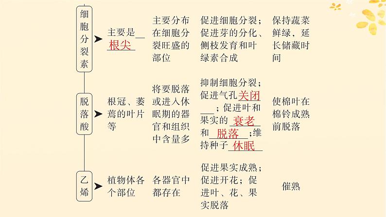 备战2025届新高考生物一轮总复习第8单元稳态与调节第39讲其他植物激素及调节植物生长调节剂的应用课件第5页