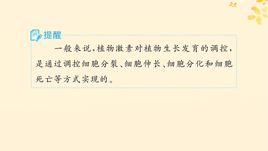 備戰(zhàn)2025屆新高考生物一輪總復習第8單元穩(wěn)態(tài)與調(diào)節(jié)第39講其他植物激素及調(diào)節(jié)植物生長調(diào)節(jié)劑的應用課件第6頁