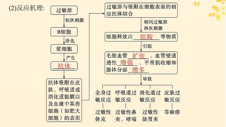 备战2025届新高考生物一轮总复习第8单元稳态与调节第37讲免疫失调和免疫学的应用课件第5页
