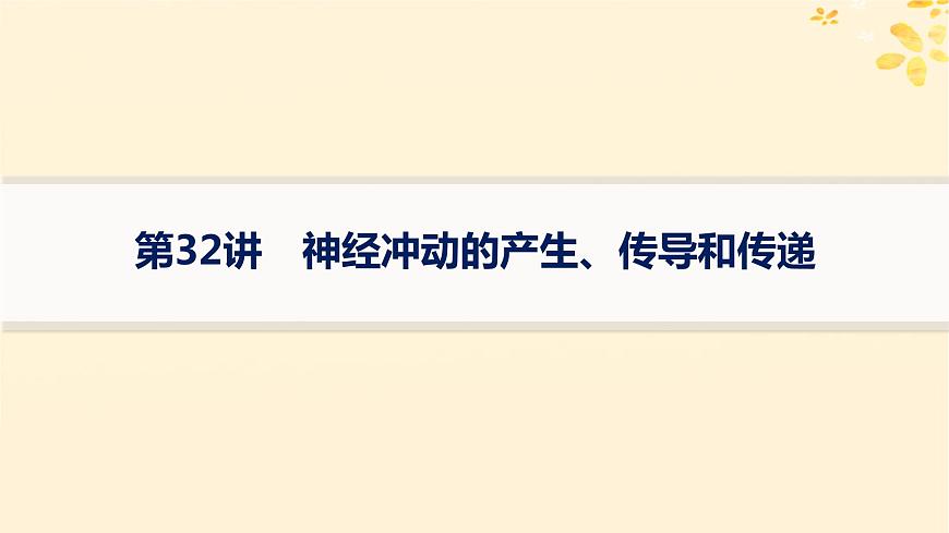 備戰(zhàn)2025屆新高考生物一輪總復(fù)習(xí)第8單元穩(wěn)態(tài)與調(diào)節(jié)第32講神經(jīng)沖動(dòng)的產(chǎn)生傳導(dǎo)和傳遞課件第1頁
