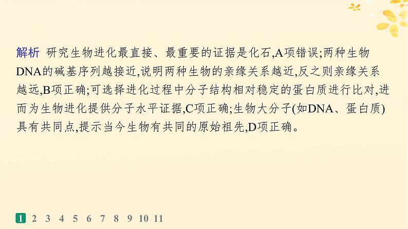 备战2025届新高考生物一轮总复习第7单元生物的变异和进化课时规范练29生物的进化课件第4页