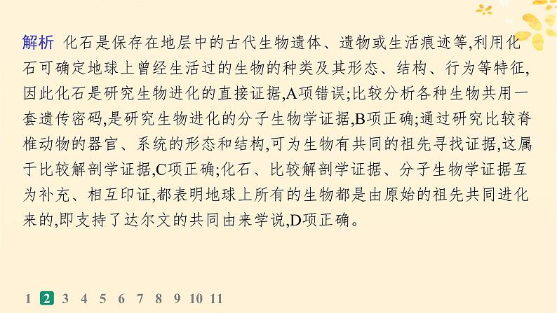 备战2025届新高考生物一轮总复习第7单元生物的变异和进化课时规范练29生物的进化课件第6页