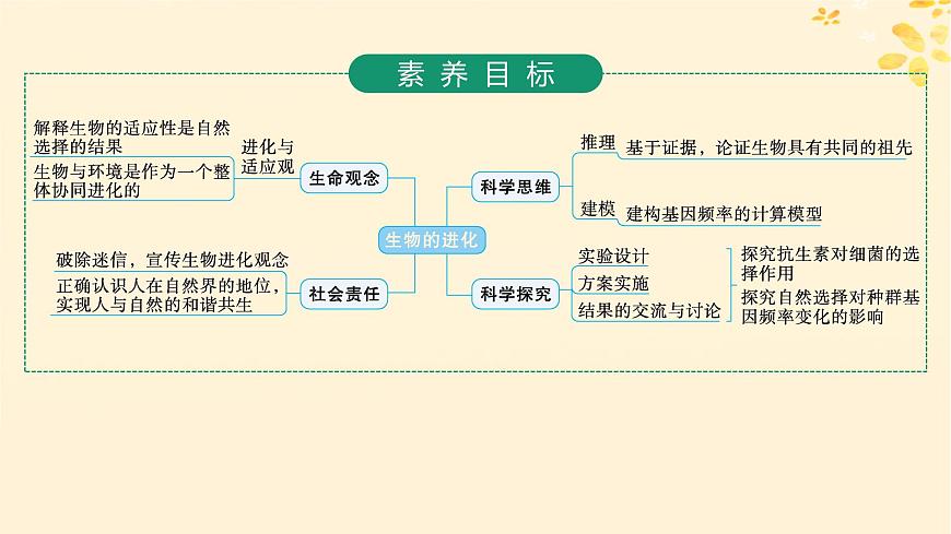 備戰(zhàn)2025屆新高考生物一輪總復(fù)習(xí)第7單元生物的變異和進(jìn)化第29講生物的進(jìn)化課件第2頁