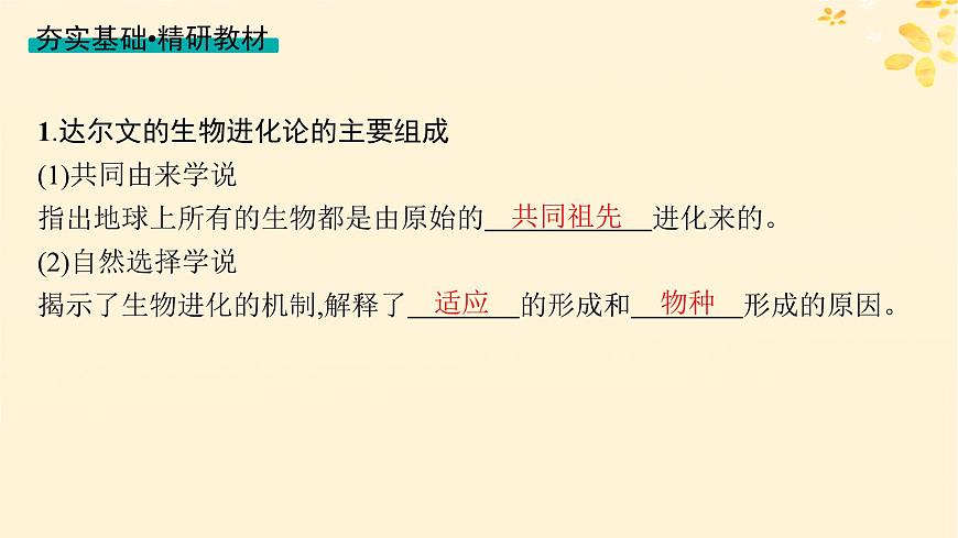 備戰(zhàn)2025屆新高考生物一輪總復(fù)習(xí)第7單元生物的變異和進(jìn)化第29講生物的進(jìn)化課件第4頁