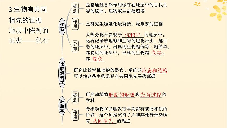 備戰(zhàn)2025屆新高考生物一輪總復(fù)習(xí)第7單元生物的變異和進(jìn)化第29講生物的進(jìn)化課件第5頁