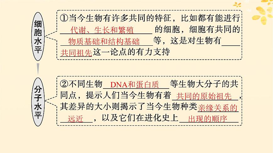備戰(zhàn)2025屆新高考生物一輪總復(fù)習(xí)第7單元生物的變異和進(jìn)化第29講生物的進(jìn)化課件第6頁