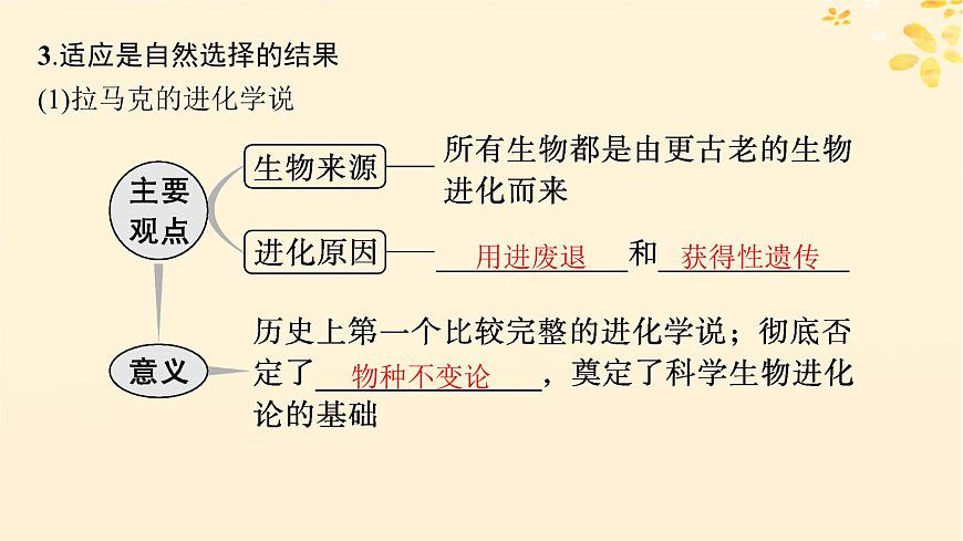 備戰(zhàn)2025屆新高考生物一輪總復(fù)習(xí)第7單元生物的變異和進(jìn)化第29講生物的進(jìn)化課件第7頁