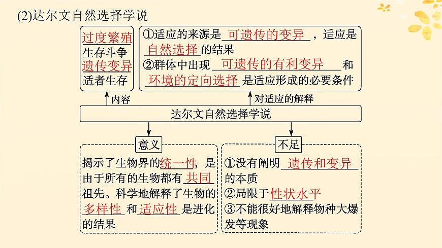 備戰(zhàn)2025屆新高考生物一輪總復(fù)習(xí)第7單元生物的變異和進(jìn)化第29講生物的進(jìn)化課件第8頁