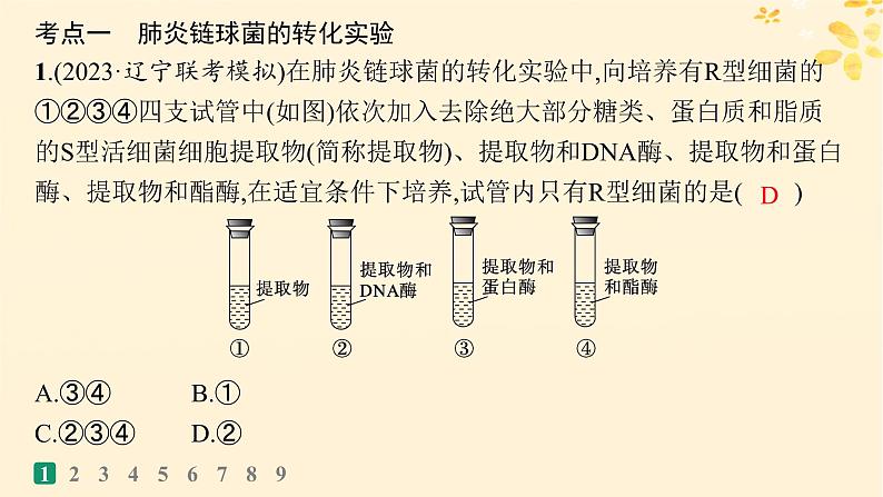 备战2025届新高考生物一轮总复习第6单元遗传的分子基础课时规范练23DNA是主要的遗传物质课件第3页