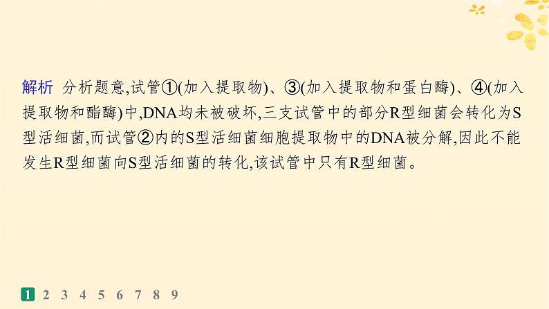 备战2025届新高考生物一轮总复习第6单元遗传的分子基础课时规范练23DNA是主要的遗传物质课件第4页