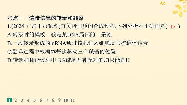 备战2025届新高考生物一轮总复习第6单元遗传的分子基础课时规范练25基因的表达课件第3页