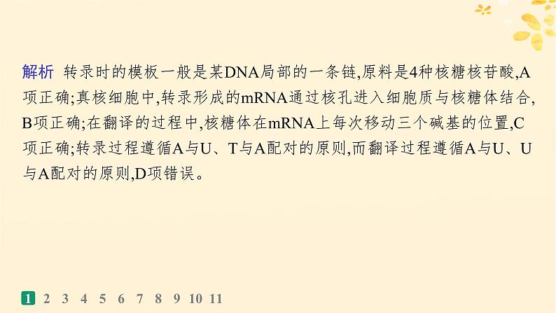 备战2025届新高考生物一轮总复习第6单元遗传的分子基础课时规范练25基因的表达课件第4页
