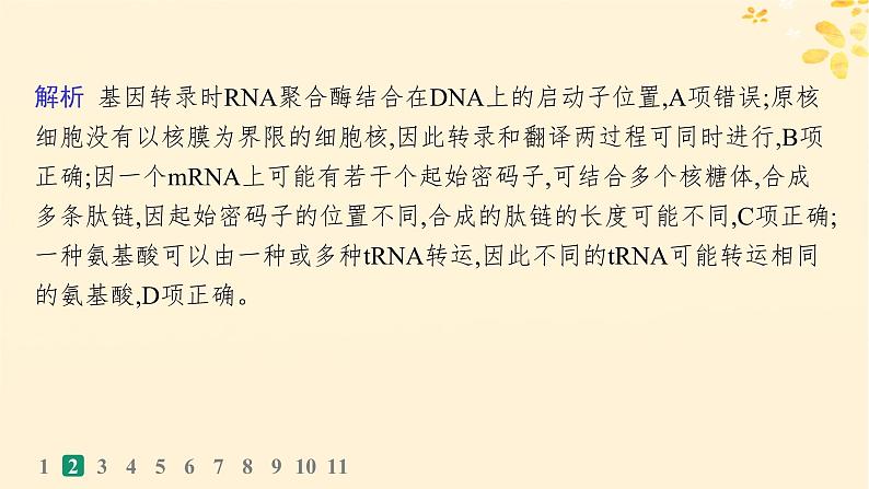 备战2025届新高考生物一轮总复习第6单元遗传的分子基础课时规范练25基因的表达课件第6页
