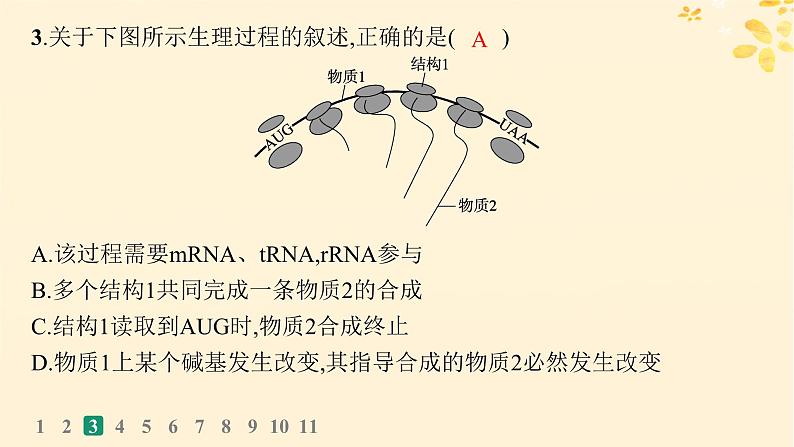 备战2025届新高考生物一轮总复习第6单元遗传的分子基础课时规范练25基因的表达课件第7页