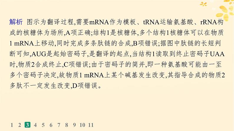 备战2025届新高考生物一轮总复习第6单元遗传的分子基础课时规范练25基因的表达课件第8页