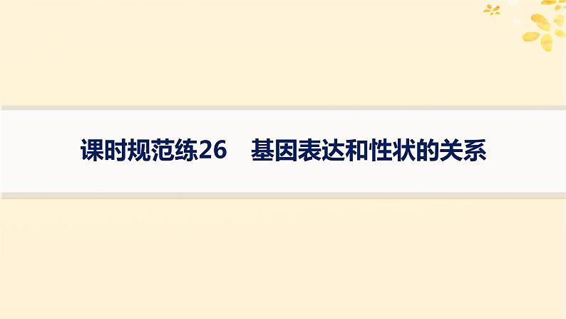 备战2025届新高考生物一轮总复习第6单元遗传的分子基础课时规范练26基因表达和性状的关系课件第1页