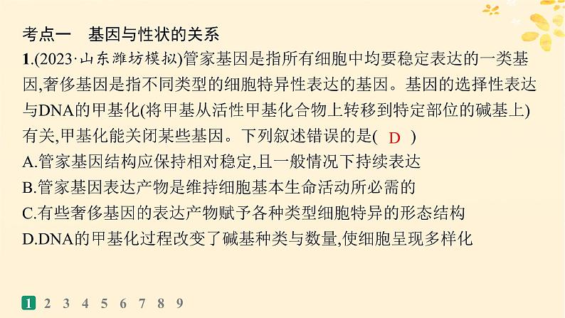 备战2025届新高考生物一轮总复习第6单元遗传的分子基础课时规范练26基因表达和性状的关系课件第3页