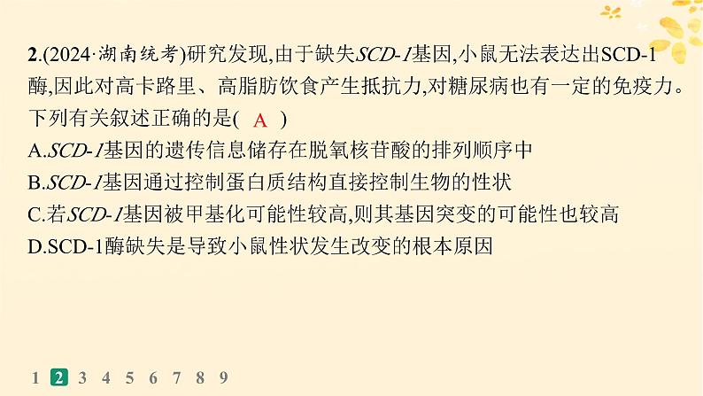 备战2025届新高考生物一轮总复习第6单元遗传的分子基础课时规范练26基因表达和性状的关系课件第5页