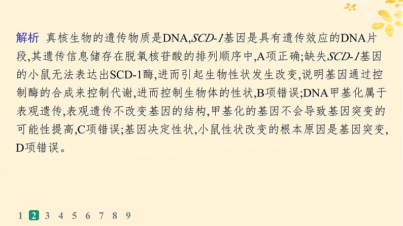 备战2025届新高考生物一轮总复习第6单元遗传的分子基础课时规范练26基因表达和性状的关系课件第6页