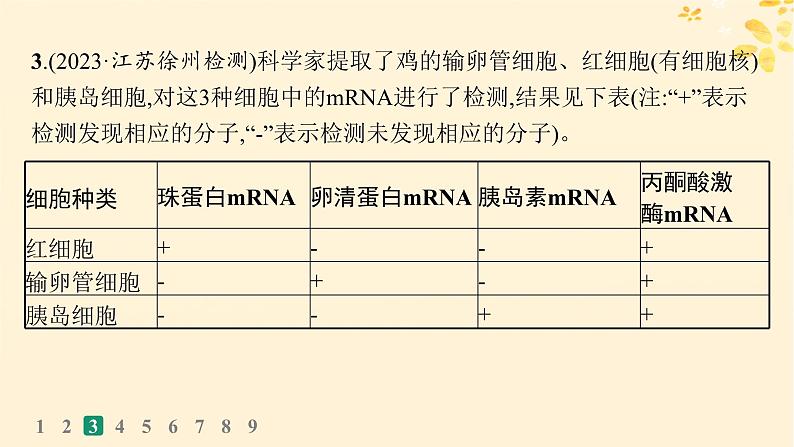 备战2025届新高考生物一轮总复习第6单元遗传的分子基础课时规范练26基因表达和性状的关系课件第7页