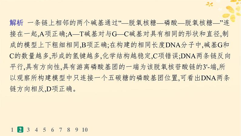 备战2025届新高考生物一轮总复习第6单元遗传的分子基础课时规范练24DNA的结构和复制基因的本质课件第6页