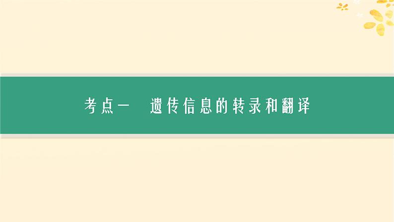备战2025届新高考生物一轮总复习第6单元遗传的分子基础第25讲基因的表达课件第3页