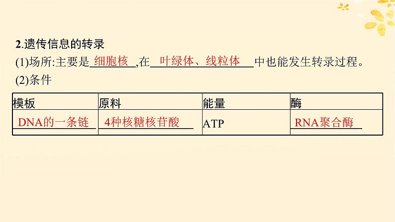 备战2025届新高考生物一轮总复习第6单元遗传的分子基础第25讲基因的表达课件第5页