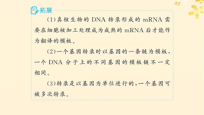 备战2025届新高考生物一轮总复习第6单元遗传的分子基础第25讲基因的表达课件第7页