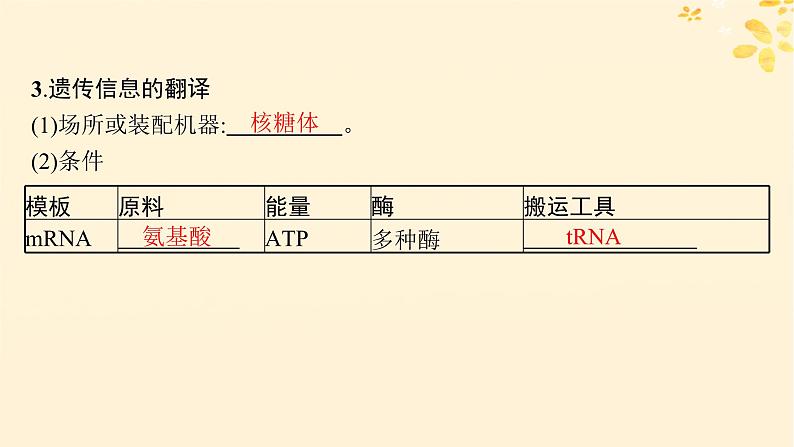 备战2025届新高考生物一轮总复习第6单元遗传的分子基础第25讲基因的表达课件第8页