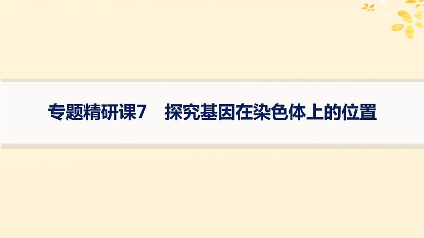 備戰(zhàn)2025屆新高考生物一輪總復(fù)習(xí)第5單元孟德爾遺傳定律與伴性遺傳專題精研課7探究基因在染色體上的位置課件第1頁
