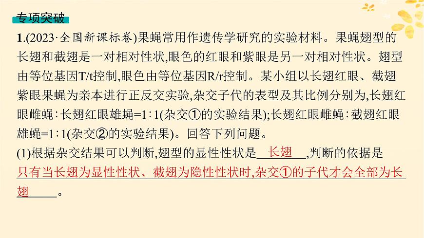 備戰(zhàn)2025屆新高考生物一輪總復(fù)習(xí)第5單元孟德爾遺傳定律與伴性遺傳專題精研課7探究基因在染色體上的位置課件第3頁