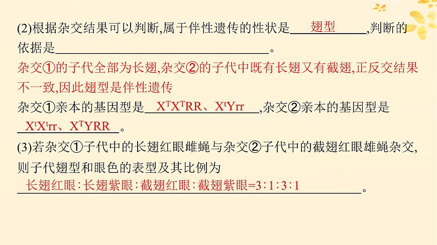 備戰(zhàn)2025屆新高考生物一輪總復(fù)習(xí)第5單元孟德爾遺傳定律與伴性遺傳專題精研課7探究基因在染色體上的位置課件第4頁